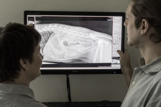 Frau Dr. Richter und Herr Neubacher bei der Befundung eines digitalen Röntgenbildes