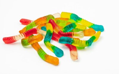 Wenn der Wurm drin ist… Die optimale Strategie, mein Haustier zu entwurmen